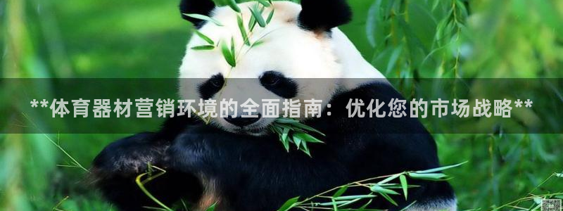 耀世娱乐如何登录账号啊：**体育器材营销环境的全面指