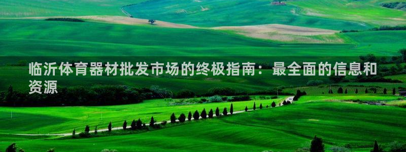 耀世天下的微信名字好吗：临沂体育器材批发市场的终极指