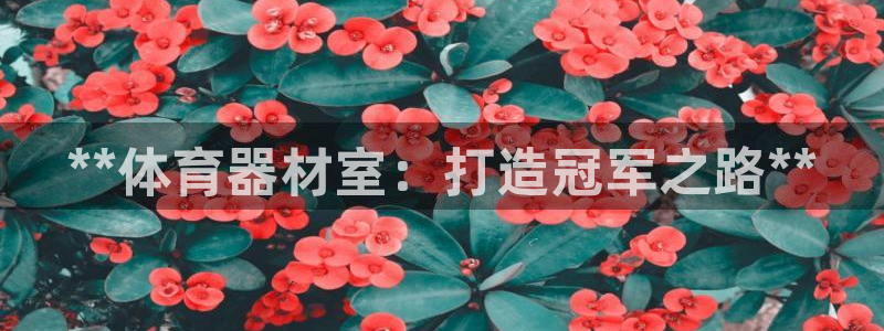 耀世平台间7O777：**体育器材室：打造冠军之路*