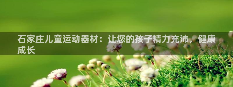 耀世油烟机价格及图片：石家庄儿童运动器材：让您的孩子