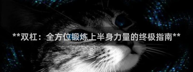 耀世娱乐是正规还是仿：**双杠：全方位锻炼上半身力量