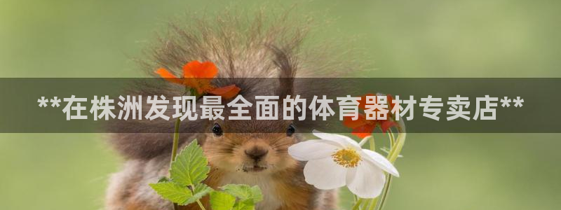 耀世集团七天三彩：**在株洲发现最全面的体育器材专卖