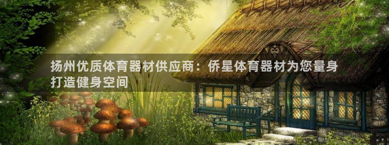 耀世娱乐平台注册地址在哪里找：扬州优质体育器材供应商
