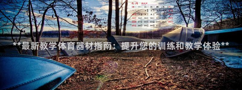 耀世天下：**最新教学体育器材指南：提升您的训练和教