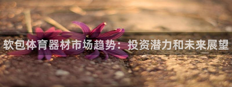 耀世娱乐可以玩吗：软包体育器材市场趋势：投资潜力和未