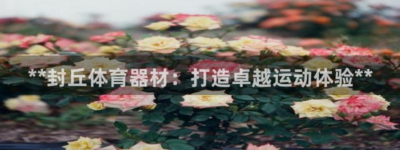 耀世的意思：**封丘体育器材：打造卓越运动体验**