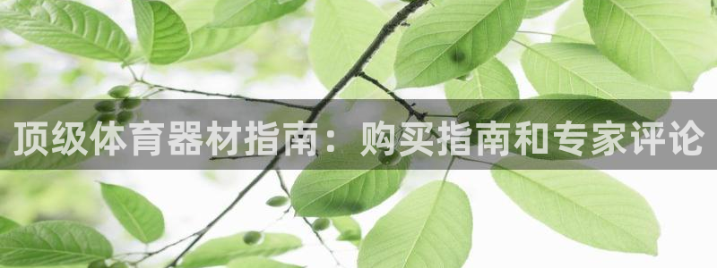 耀世娱乐官网注册：顶级体育器材指南：购买指南和专家评