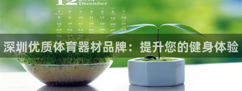 耀世娱乐客服怎么样：深圳优质体育器材品牌：提升您的健