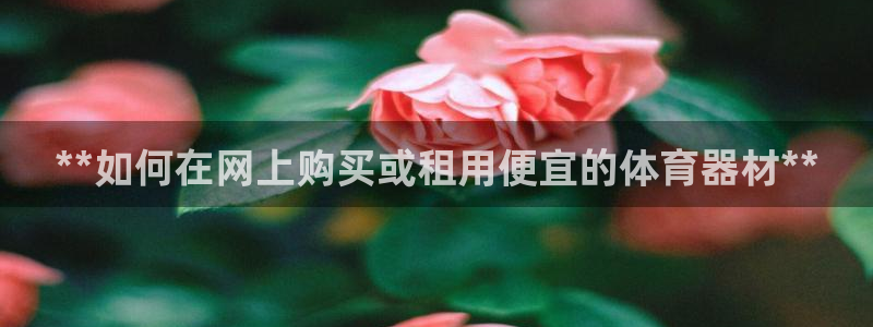 耀世平台注册网址：**如何在网上购买或租用便宜的体育