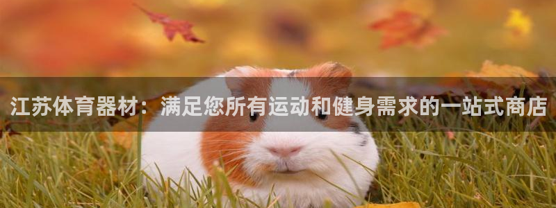 耀世平台最新注册地址：江苏体育器材：满足您所有运动和