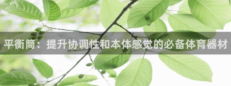 耀世微光歌曲下载：平衡筒：提升协调性和本体感觉的必备