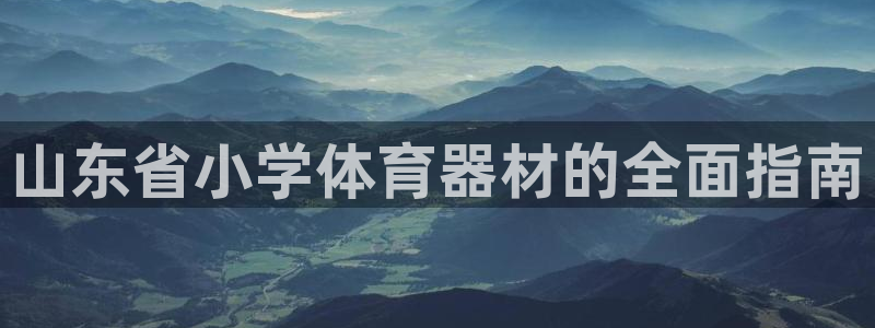 耀世集团董事长是谁啊：山东省小学体育器材的全面指南