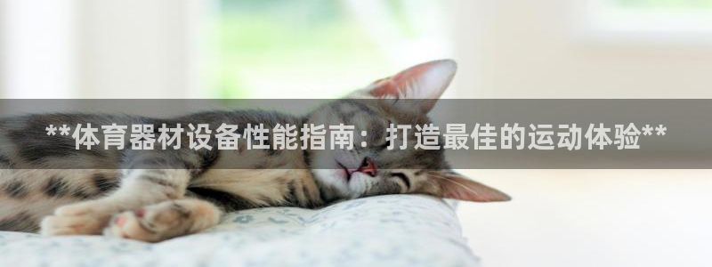 耀世娱乐如何登录平台：**体育器材设备性能指南：打造最佳的运