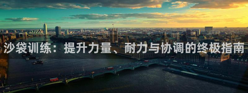耀世平台人才：沙袋训练：提升力量、耐力与协调的终极指
