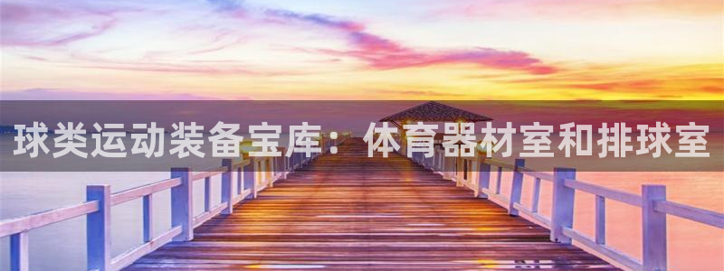耀世娱乐app下载安装苹果：球类运动装备宝库：体育器材室和排