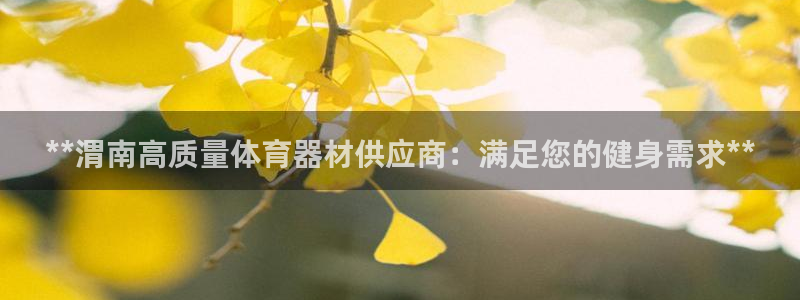 耀世娱乐总代理是谁：**渭南高质量体育器材供应商：满足您的健