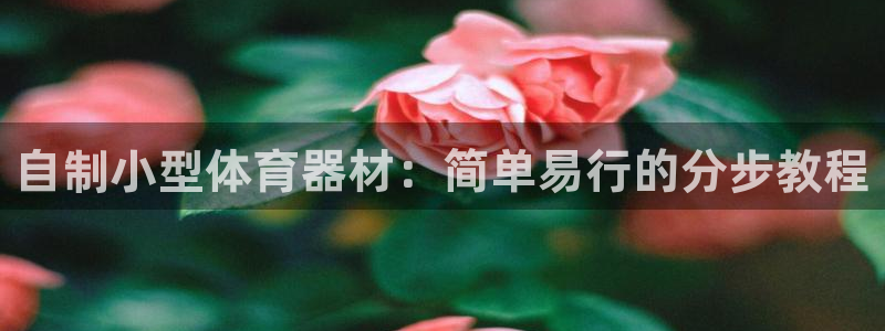 耀世集团七天三倍彩金活动：自制小型体育器材：简单易行