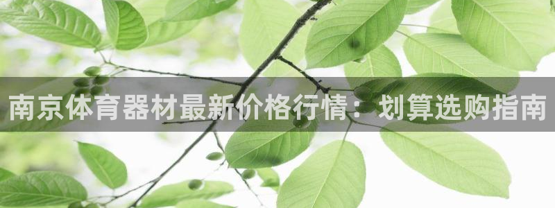 耀世娱乐登陆官网：南京体育器材最新价格行情：划算选购