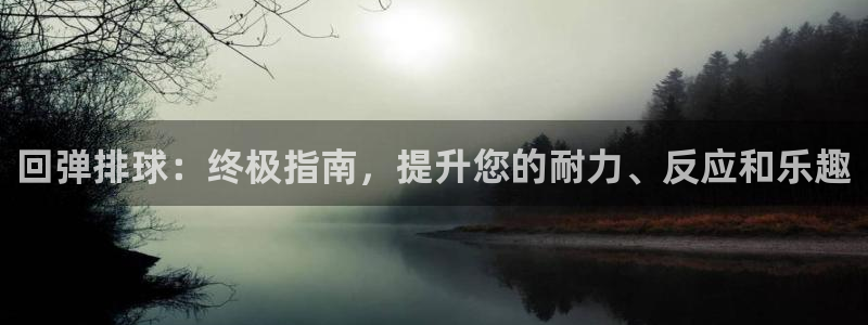 耀世平台注册链接：回弹排球：终极指南，提升您的耐力、