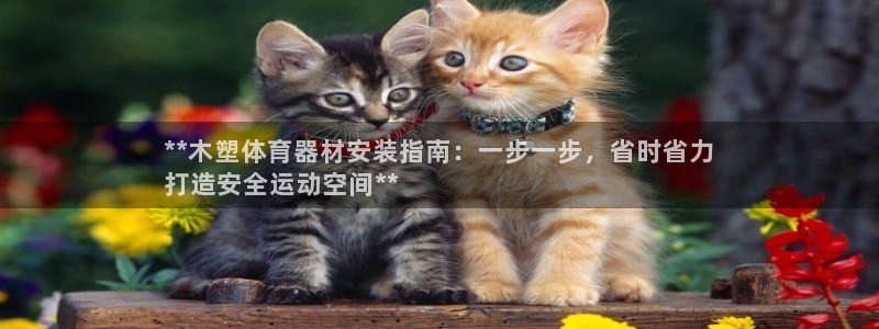 耀世平台：**木塑体育器材安装指南：一步一步，省时省