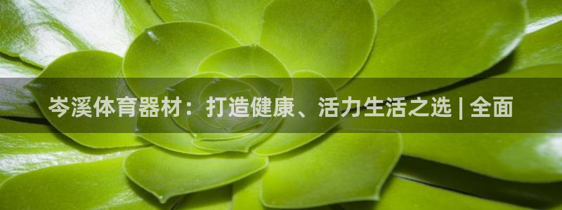 耀世平台：岑溪体育器材：打造健康、活力生活之选 | 