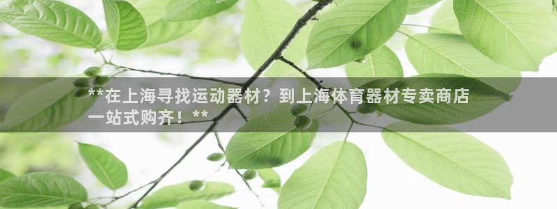 耀世娱乐老板是谁：**在上海寻找运动器材？到上海体育