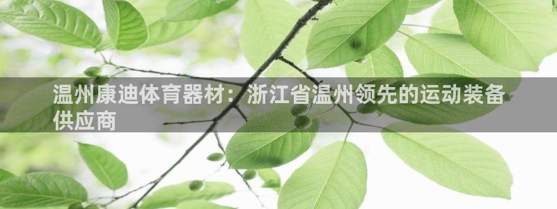 耀世开启什么意思：温州康迪体育器材：浙江省温州领先的