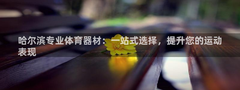 耀世平台升 411O31 耀世：哈尔滨专业体育器材：一站式选