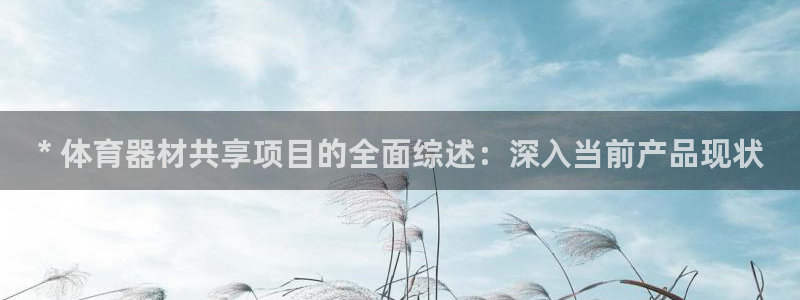 耀世娱乐优 411o31 耀世：* 体育器材共享项目
