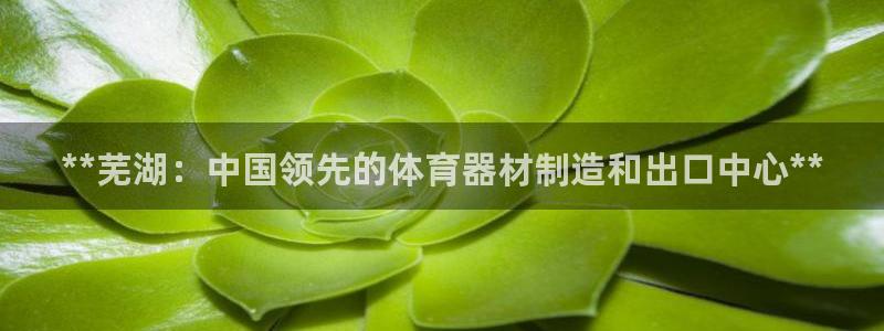 耀世登场后面一句：**芜湖：中国领先的体育器材制造和