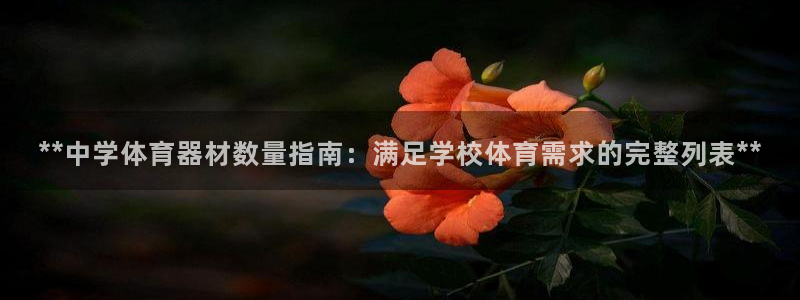 耀世平台有很多登录地址吗：**中学体育器材数量指南：