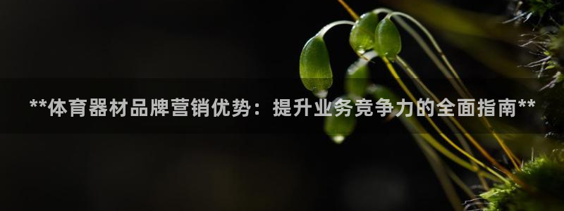 耀世集团小视频：**体育器材品牌营销优势：提升业务竞