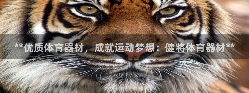 耀世天下怎么接：**优质体育器材，成就运动梦想：健将
