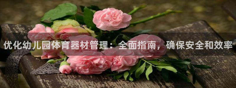 耀世平台的运营模式：优化幼儿园体育器材管理：全面指南，确保安