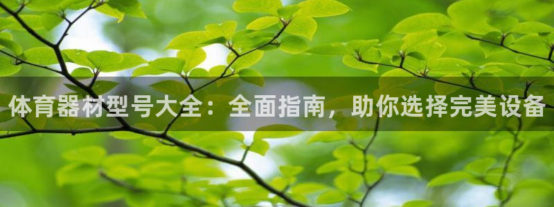 耀世平台皮皮虾：体育器材型号大全：全面指南，助你选择完美设备
