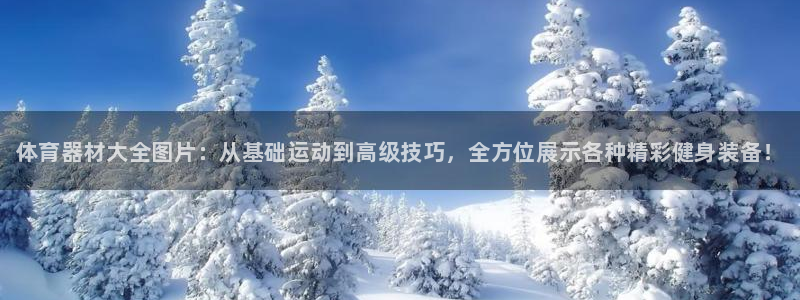 耀世娱乐官网首页登录入口:体育器材大全图片:从基础运动到高级