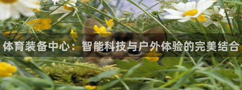 耀世娱乐招商注册 知乎账号:体育装备中心:智能科技与户外体验