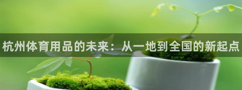 耀世平台的运营模式是什么:杭州体育用品的未来:从一地到全国的