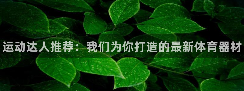 耀世官网入口：运动达人推荐：我们为你打造的最新体育器