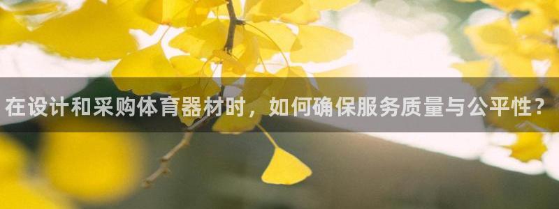 耀世微光曲谱：在设计和采购体育器材时，如何确保服务质量与公平