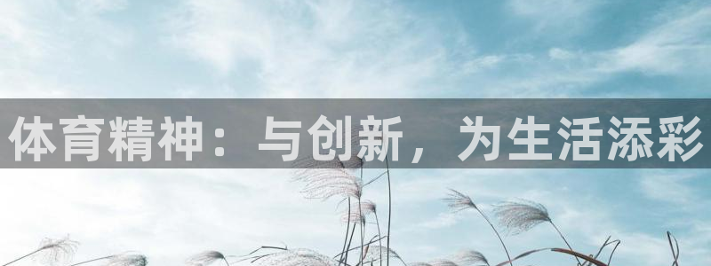 耀世天下的网名是什么意思啊男生：体育精神：与创新，为