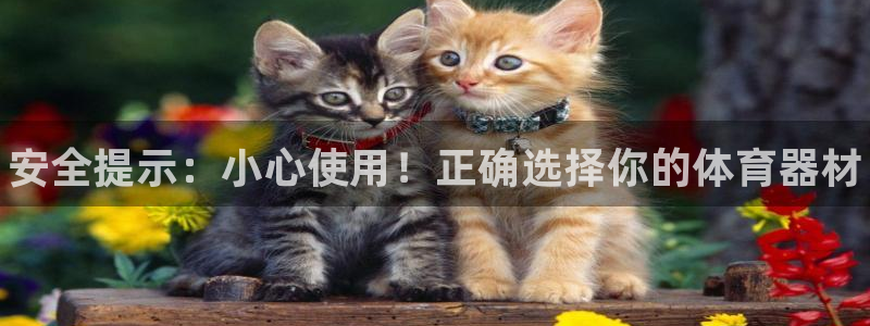 耀世国际平台正规吗安全吗可信吗：安全提示：小心使用！