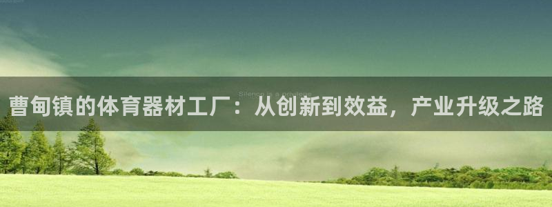 耀世平台有很多登录地址怎么回事：曹甸镇的体育器材工厂：从创新